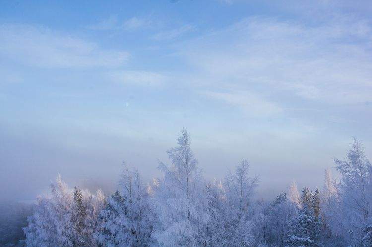 Discover Seinäjoki: A Comprehensive Travel Guide to Finland's Vibrant City