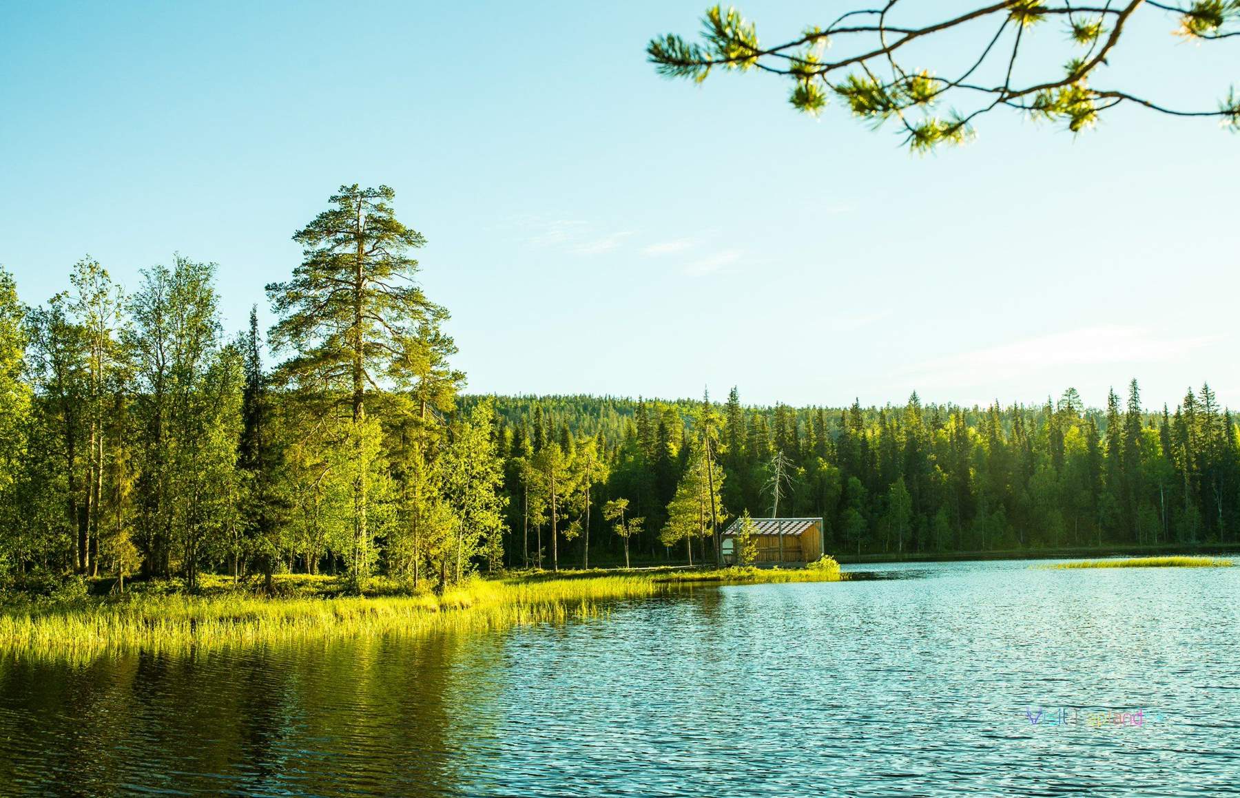Discover the Charms of Sodankylä, Finland: A Comprehensive Travel Guide with Top Attractions, Outdoor Adventures, Local Cuisine, and Festivals