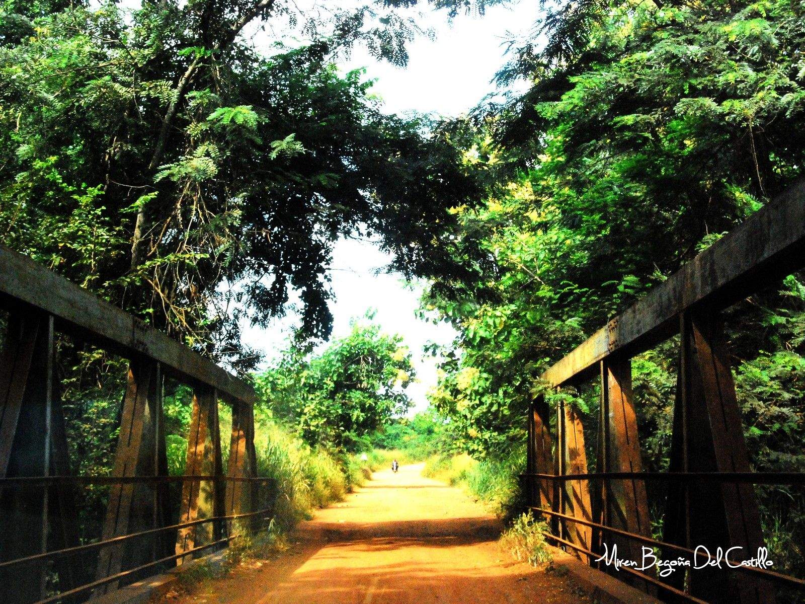 Ultimate Travel Guide to Kpalimé, Togo: Explore Authentic Culture and Natural Beauty